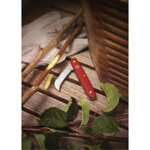 Cargar imagen en el visor de la galería, Victorinox Navaja para injertar, 3.9060