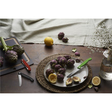 Load image into Gallery viewer, CUCHILLO PARA VERDURA PLEGABLE SC, ROJO 6.7831.FB