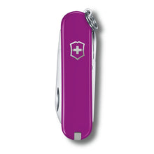 Cargar imagen en el visor de la galería, Multiherramienta Victorinox Classic SD Tasty grape, 0.6223.52G
