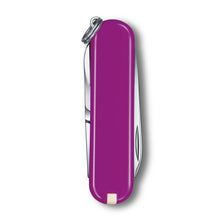 Cargar imagen en el visor de la galería, Multiherramienta Victorinox Classic SD Tasty grape, 0.6223.52G
