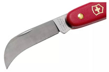 Cargar imagen en el visor de la galería, Victorinox Navaja para injertar, 3.9060
